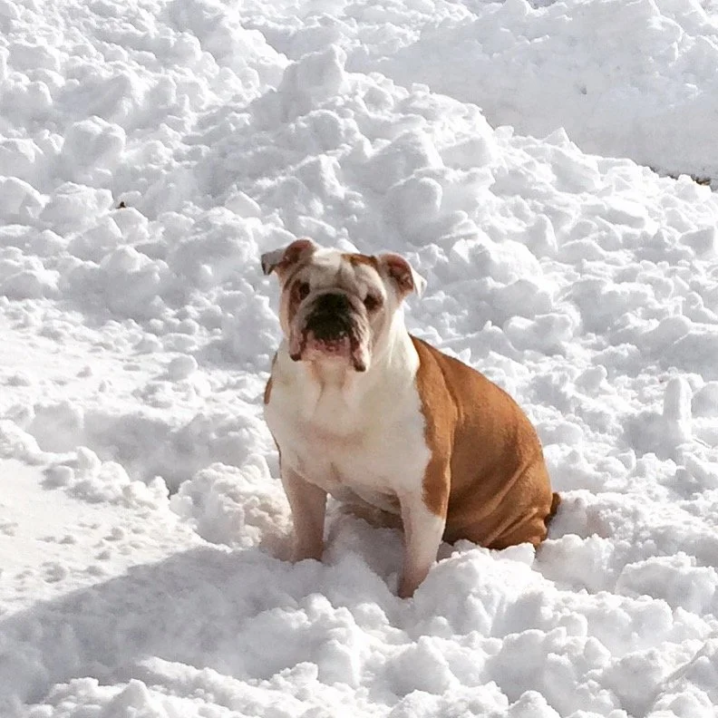 Preparing For Winter