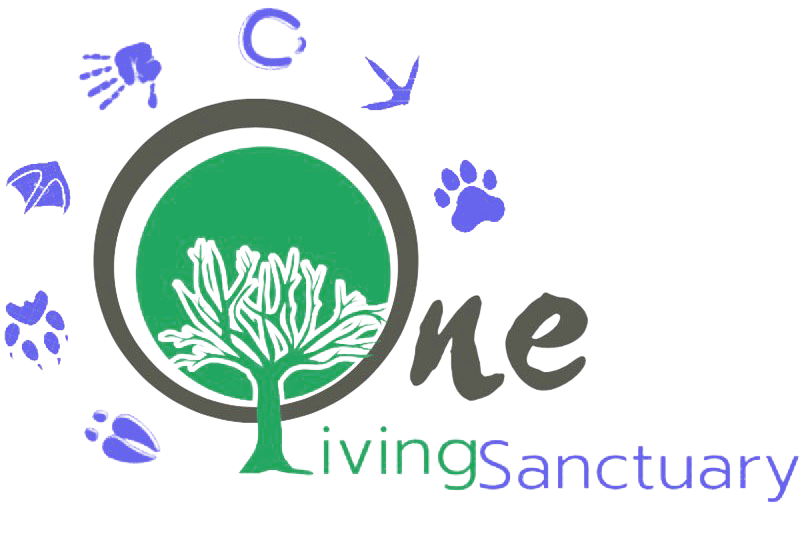 One Living Sanctuary