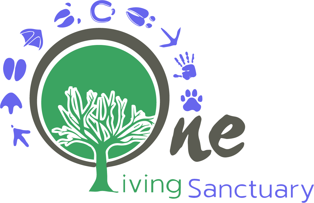 One Living Sanctuary
