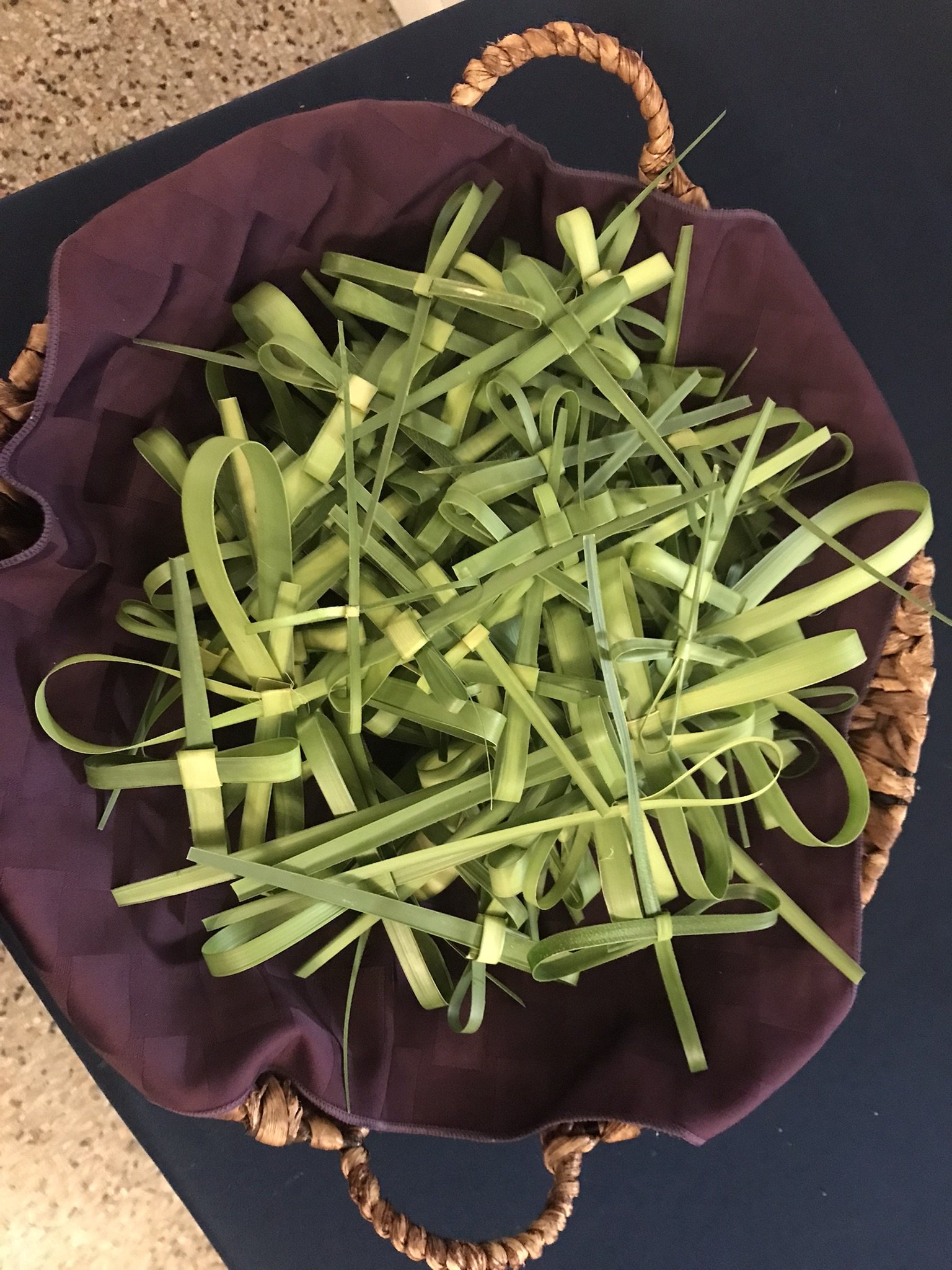 Palm Sunday Liturgy followed by Coffee Hour
