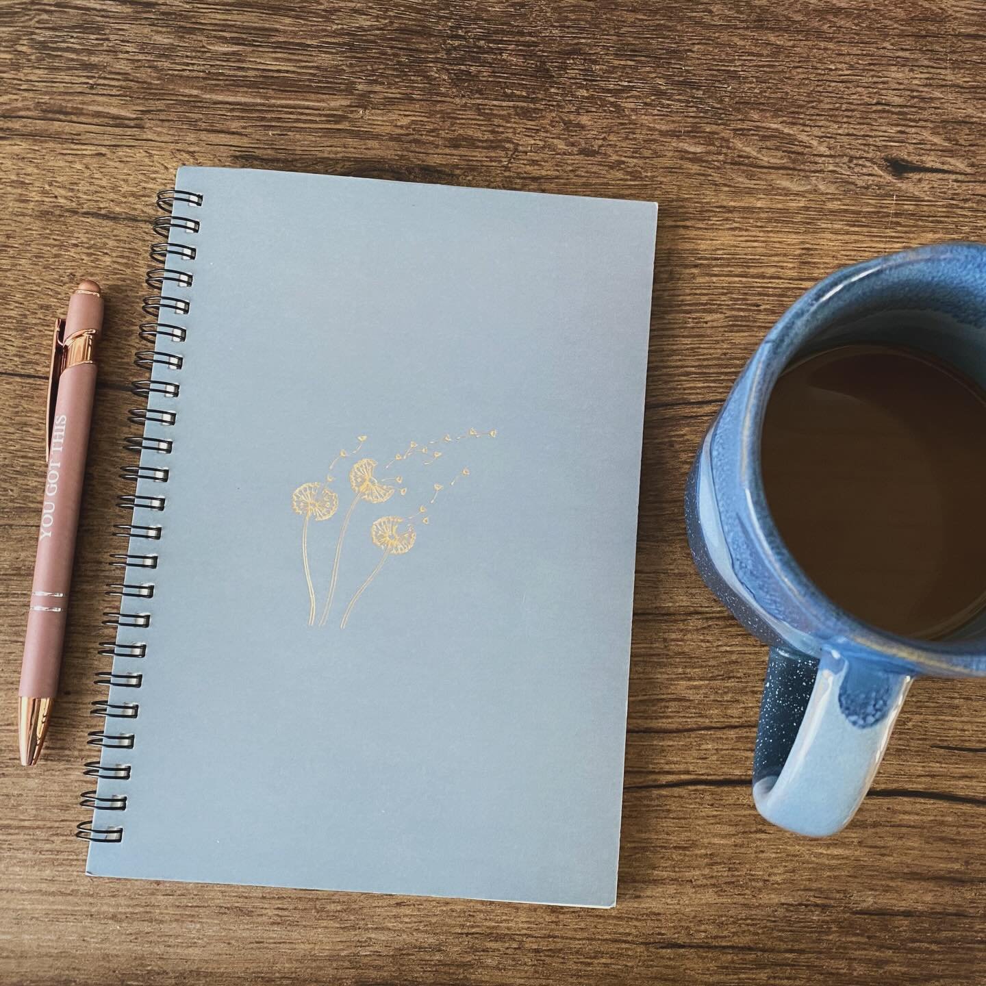 I'm journaling in the new year using a special-to-me notebook: this book is from the @quillandcup 2025 retreat in Colorado! 🏔️It's got a beautiful letter inside from @authormandymaree cheering me on (that totally makes me cry, months later) and my o