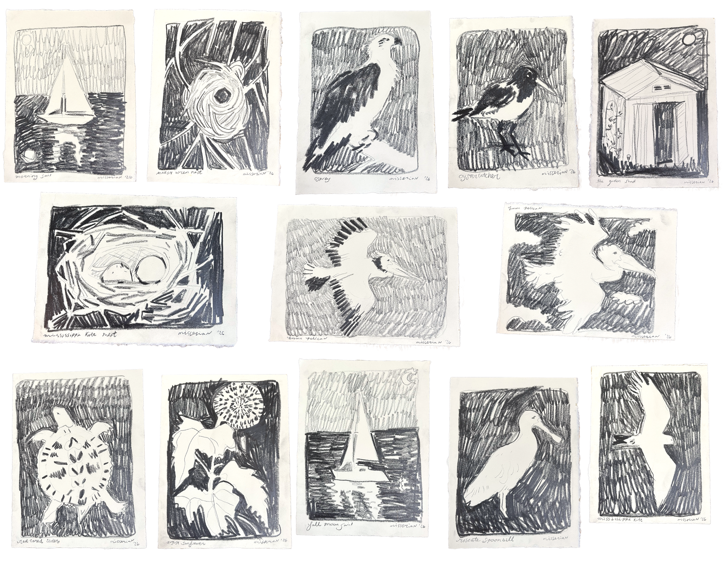 sketches1.png