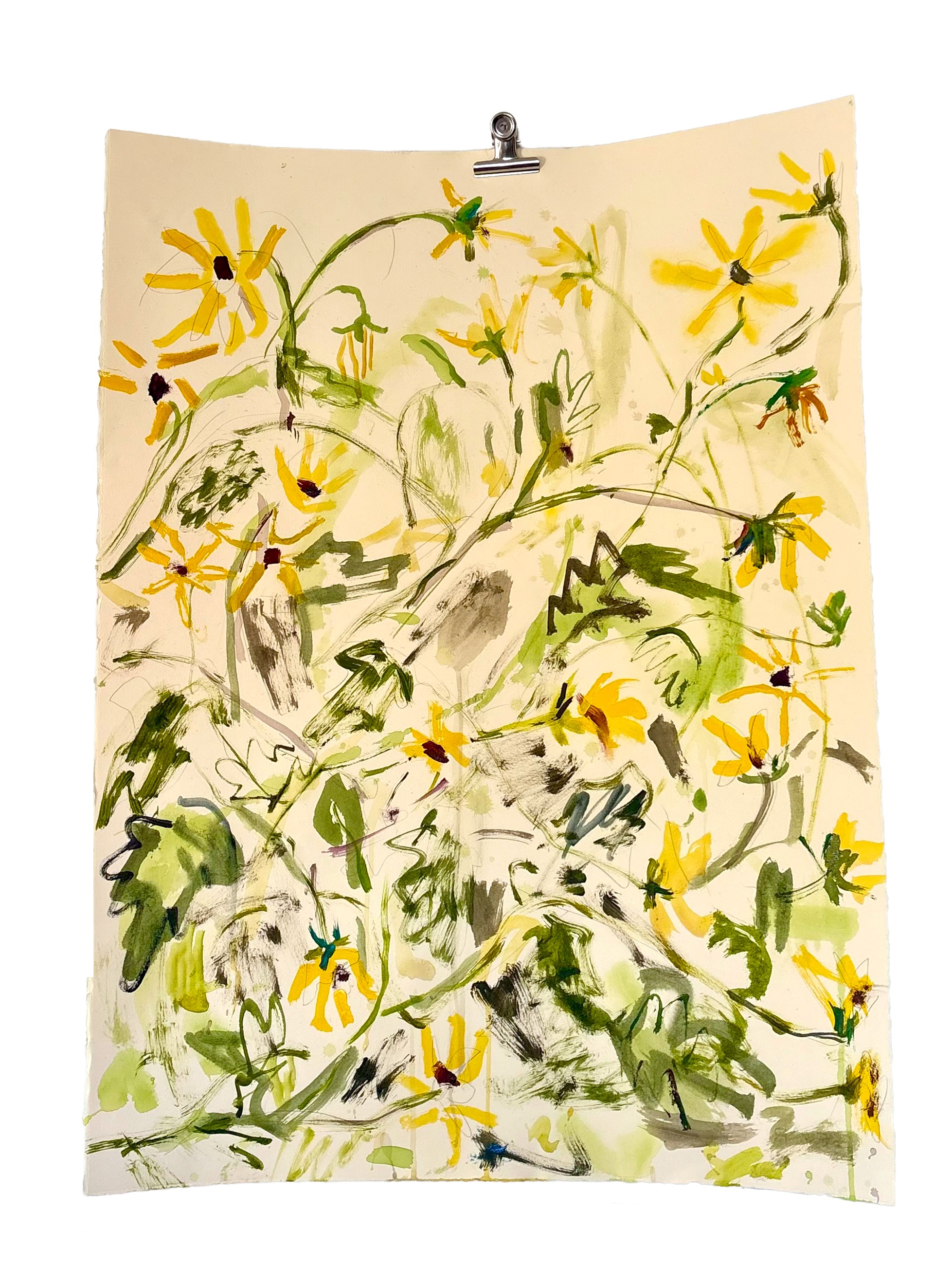 sunflower app.png