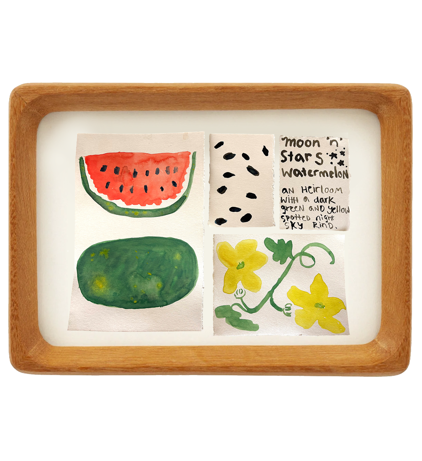 framed watermelon.png