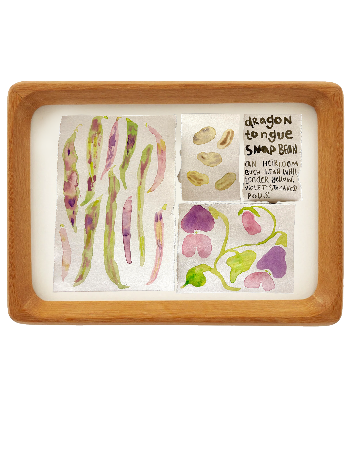 beans.png