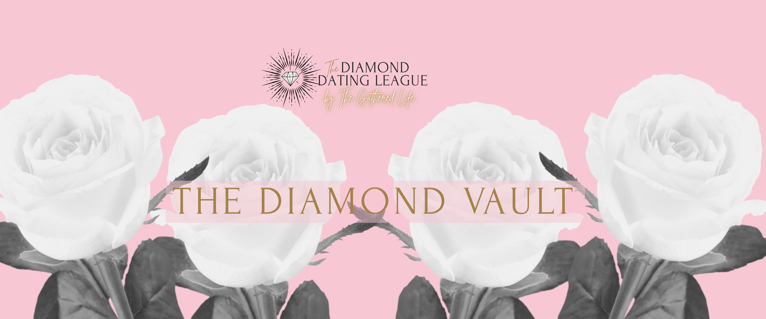DDL VAULT BANNER