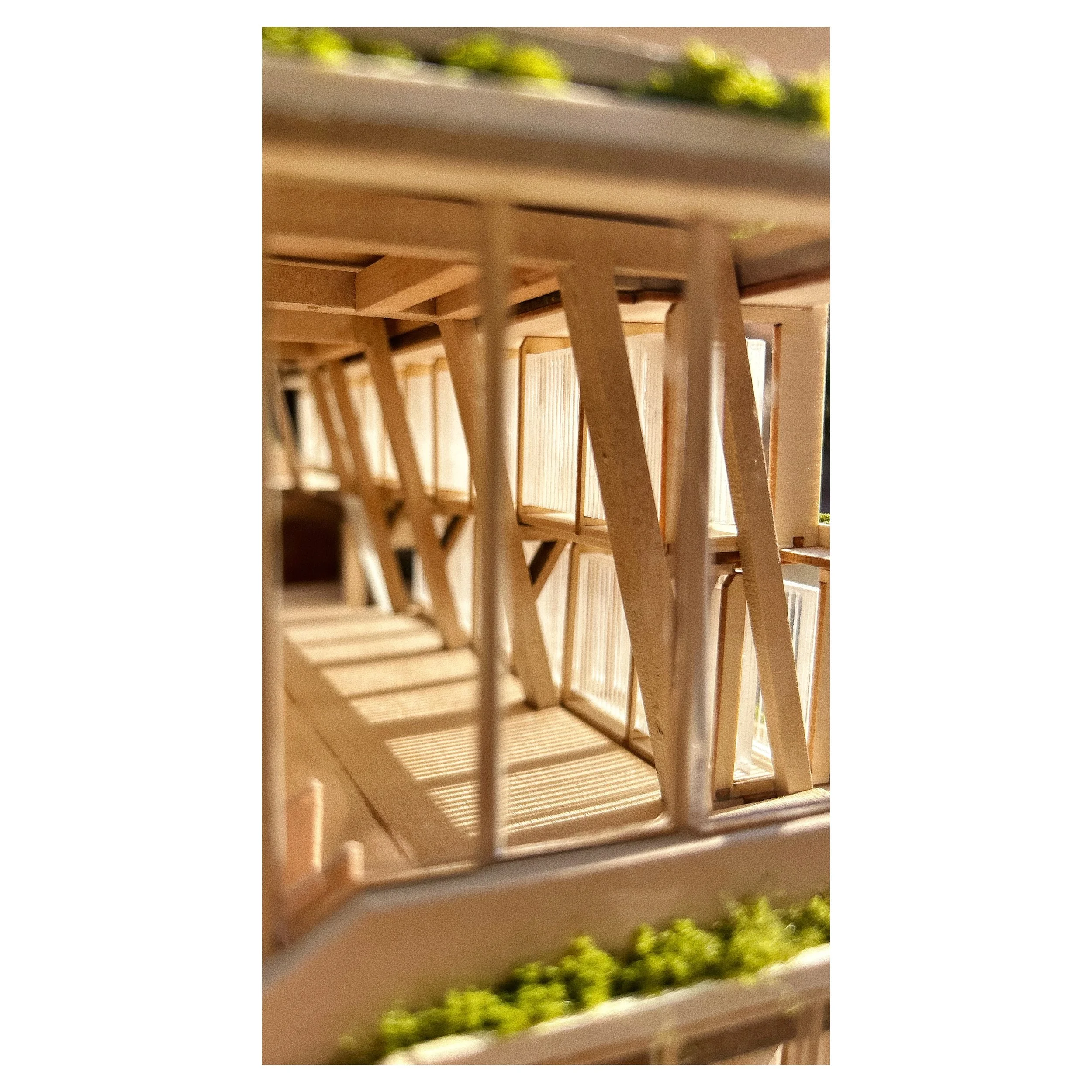 WeChat Image_20240525173116.jpg