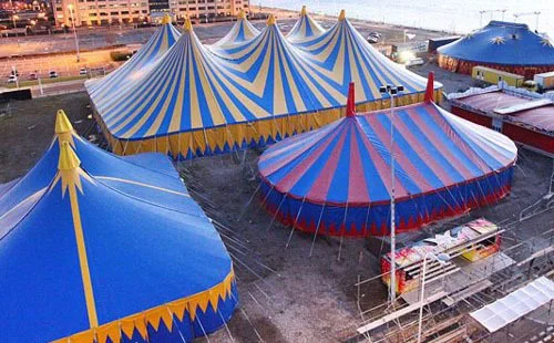 Big Top's Sleeping Beauty axed
