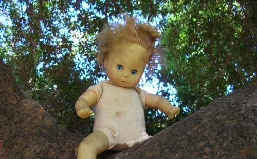 This week, failure teaches success