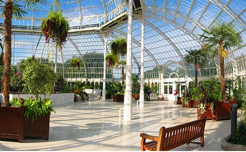 Fuse Theatre goes on a bear hunt