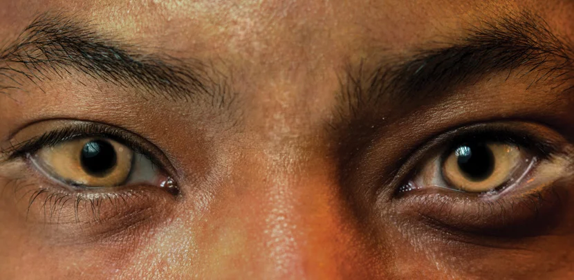 Complicite theatre company presents Lionboy