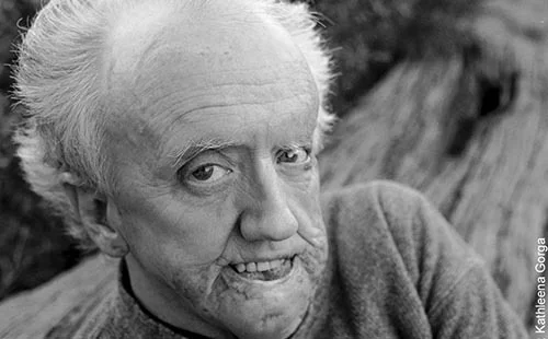 Interview: DaDaFest comic David Roche