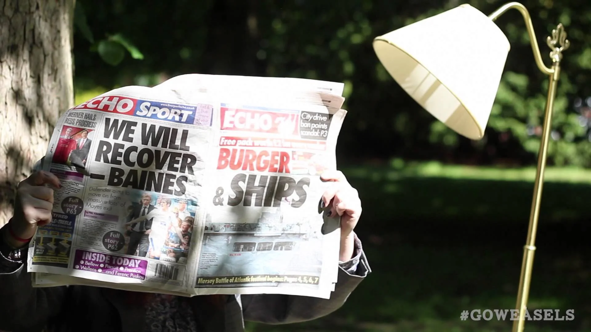 YEP's Wind in the Willows