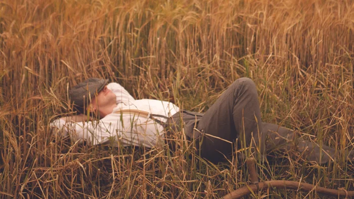 An August Bank Holiday Lark (in April)