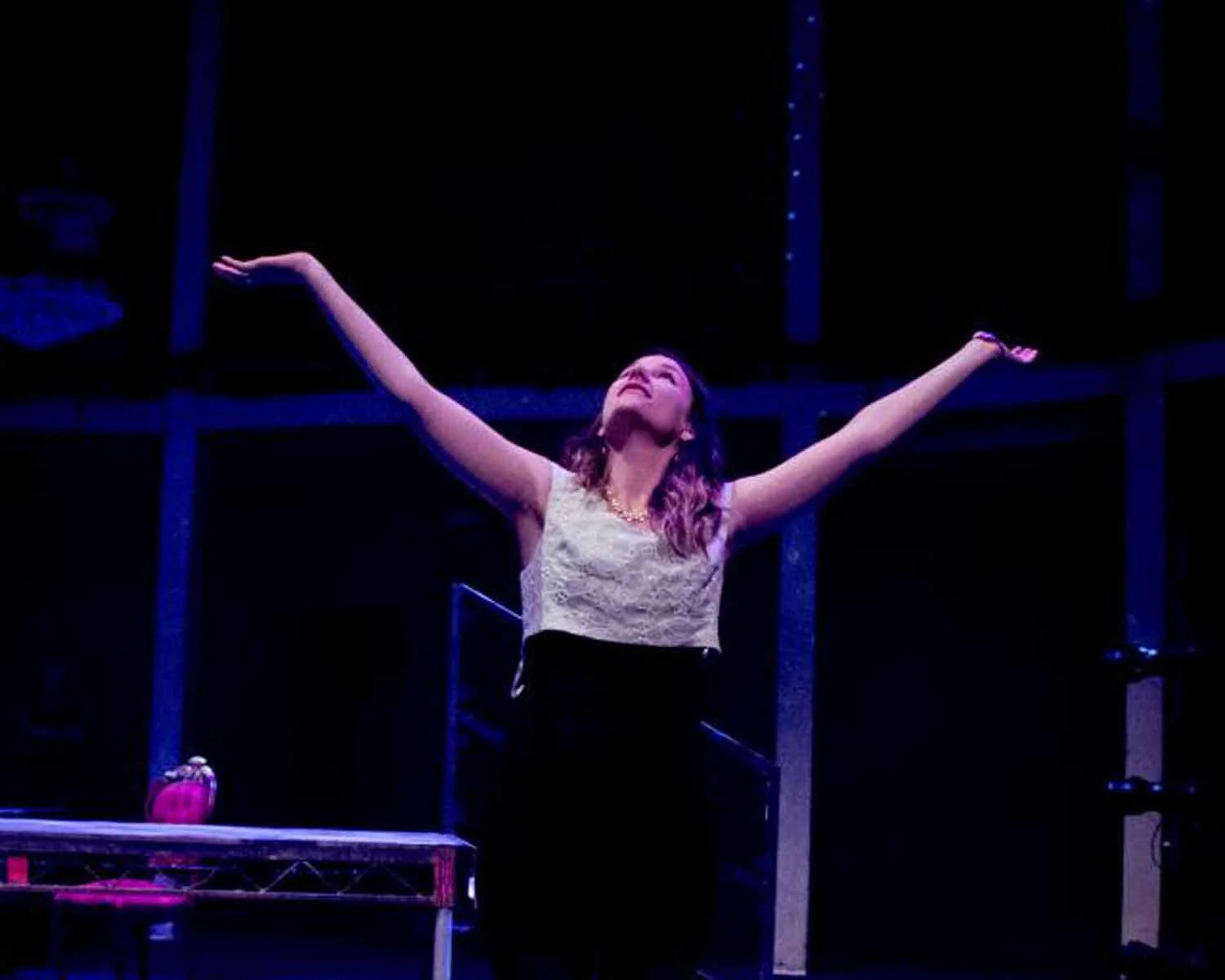 PurpleCoat's Twelfth Night