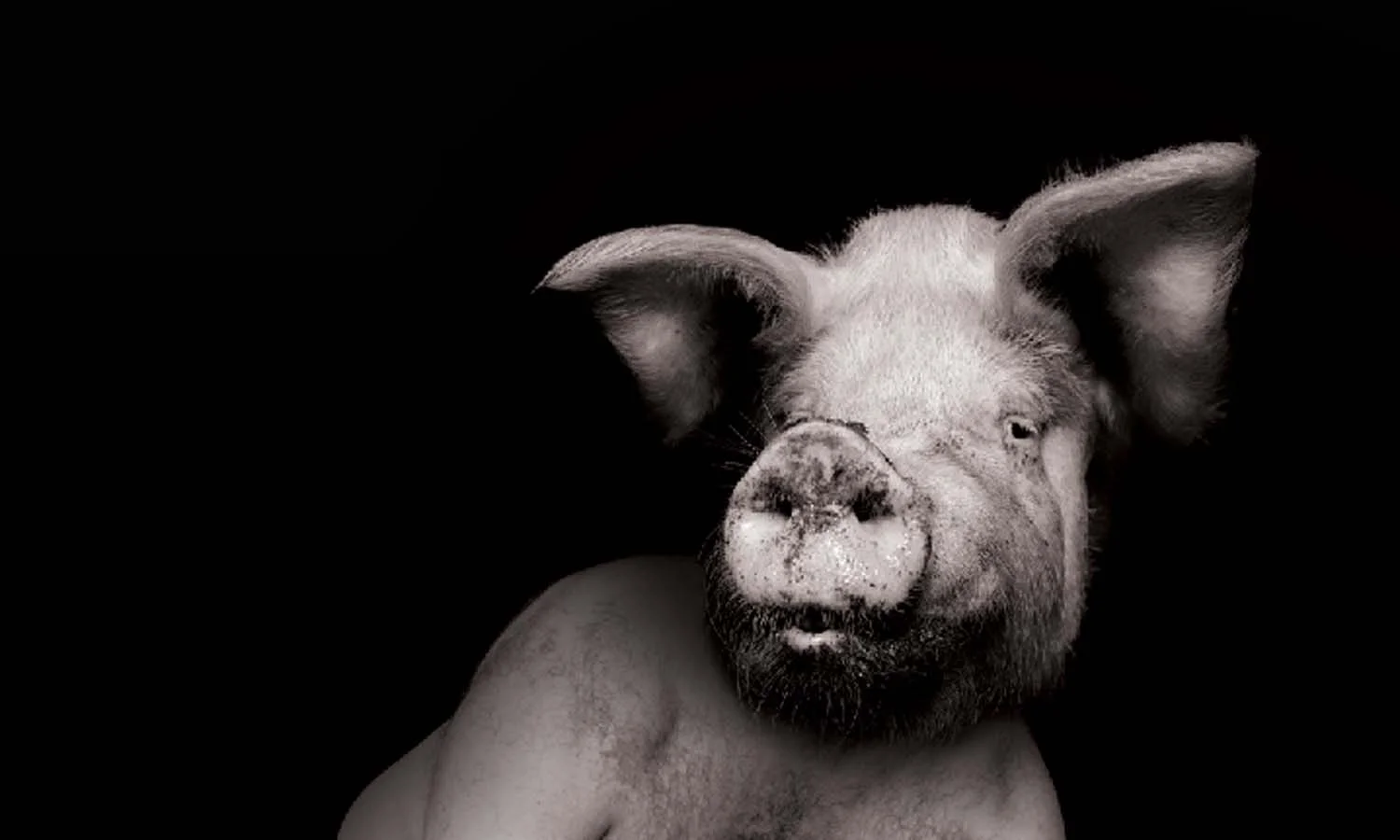 REVIEW: Animal Farm, the Arts Club