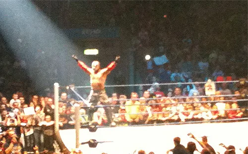 A night with the WWE