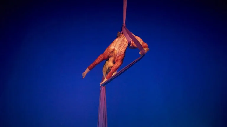 Edge Hill Uni hosts Festival of Ideas