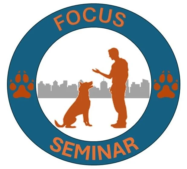 Focus Seminar TBD