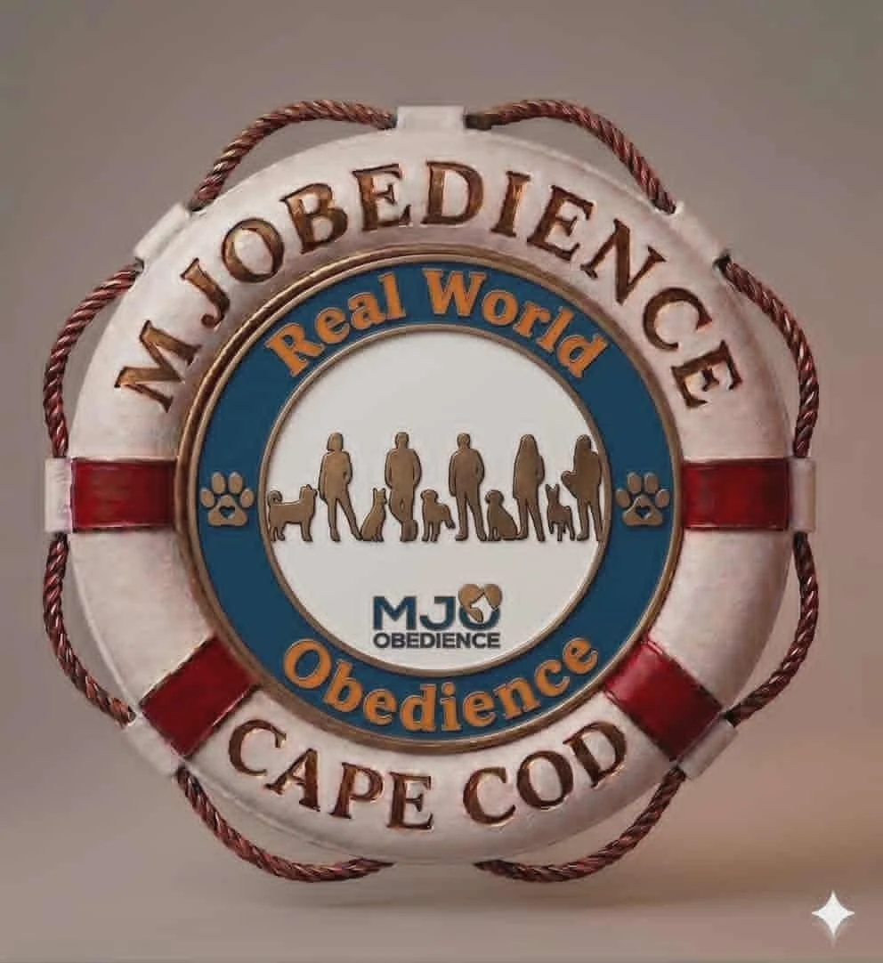 Real World Obedience Plymouth Wednesday 5/20/2026 5:00pm-5:45pm with Marc