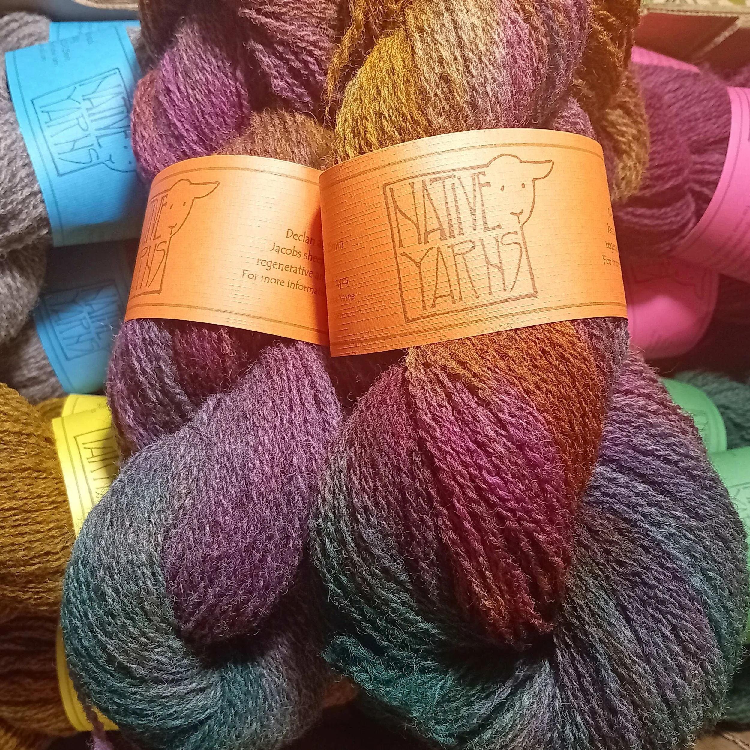 Jacobs yarn.jpg