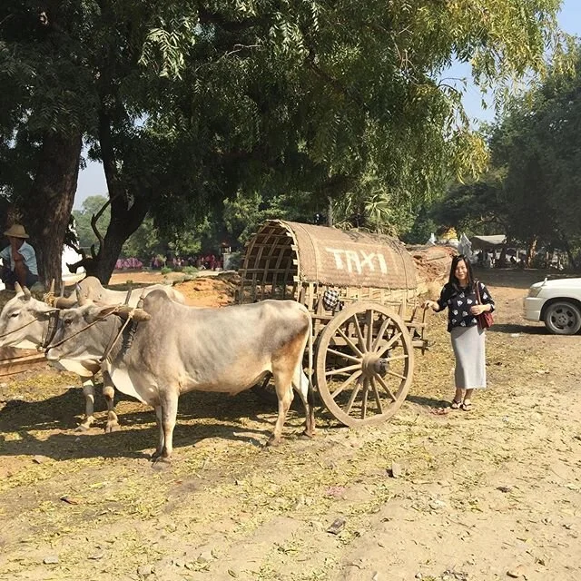 Truth in Advertising