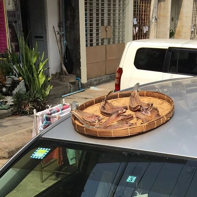 Under the Yangon Sun