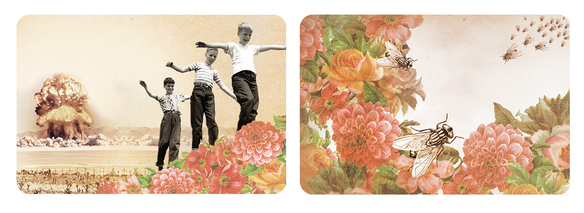 flowers.png