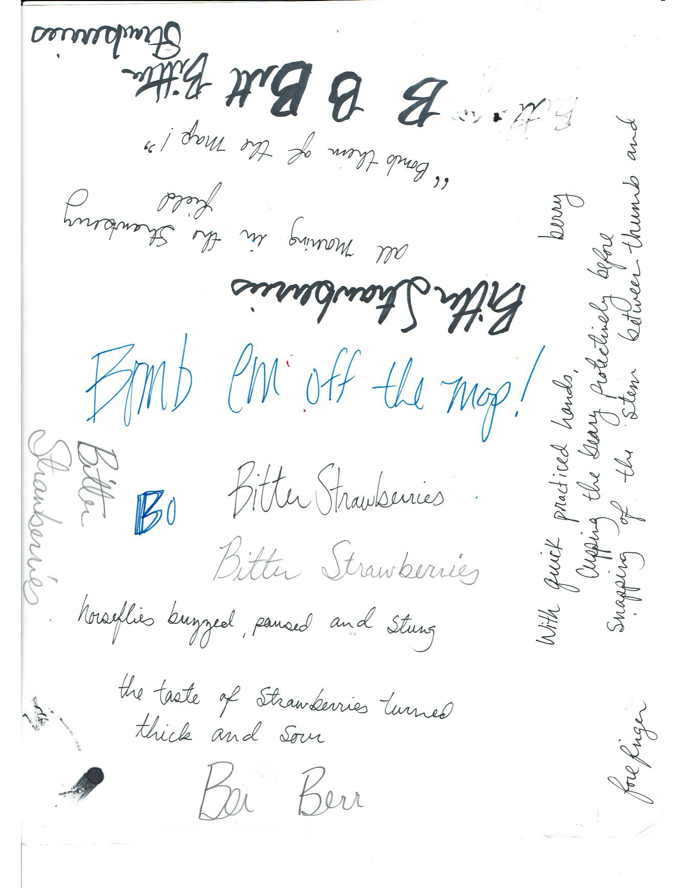 Strohmaier_Process_HOC_Page_11.png