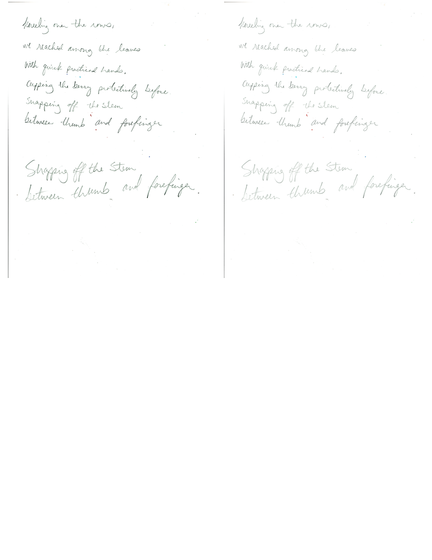 Strohmaier_Process_HOC_Page_16.png