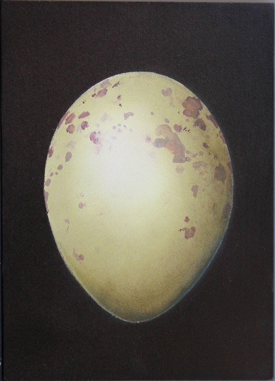 Red-Shouldered Cuckoo Shrike 7x5 oil on board.jpeg