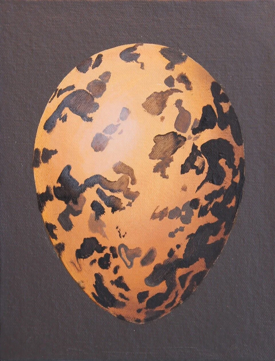 Painted Snipe 9x7 oil on canvas-wrapped board.jpeg