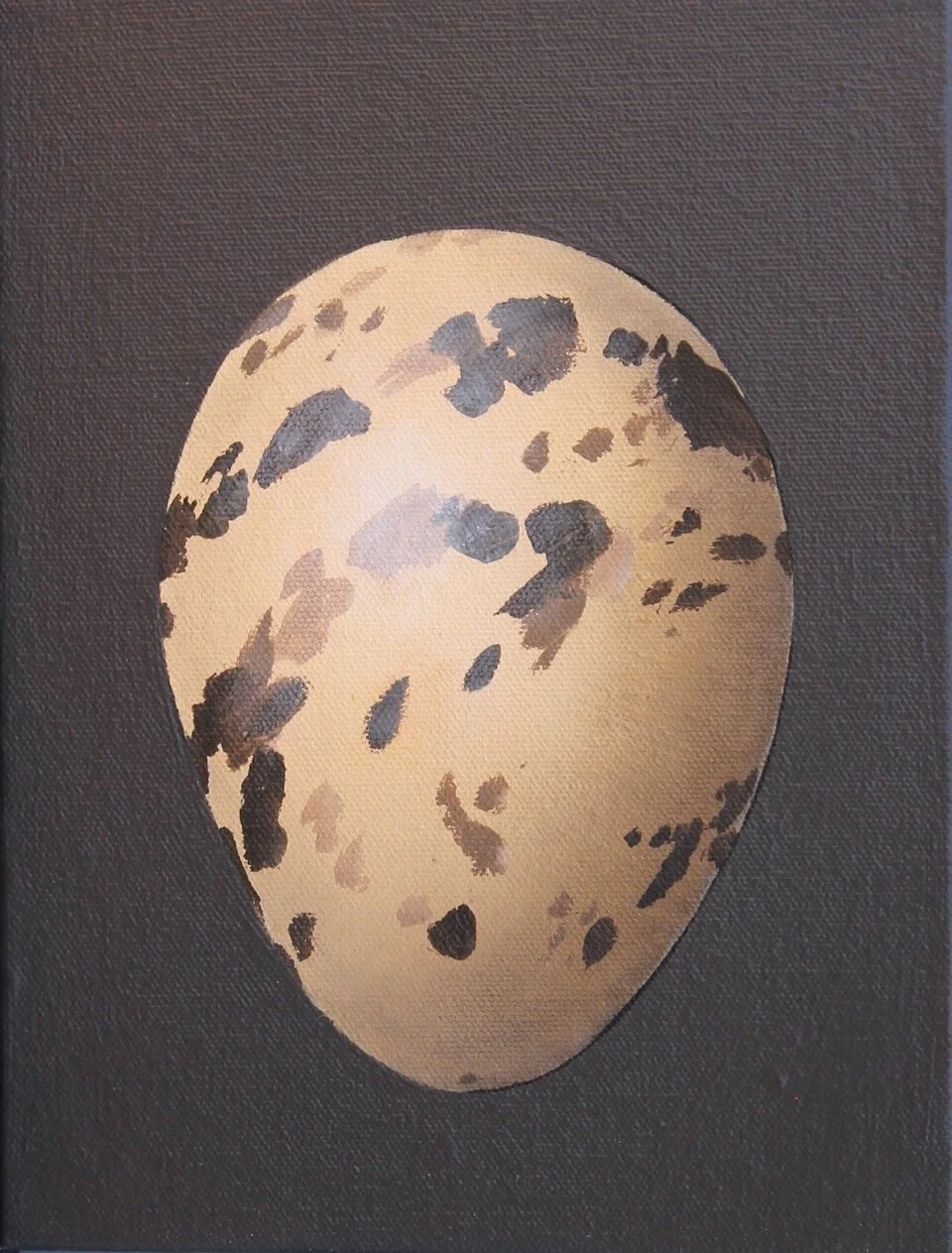 Tropical Kingbird 9x7 oil on canvas-wrapped board.jpeg