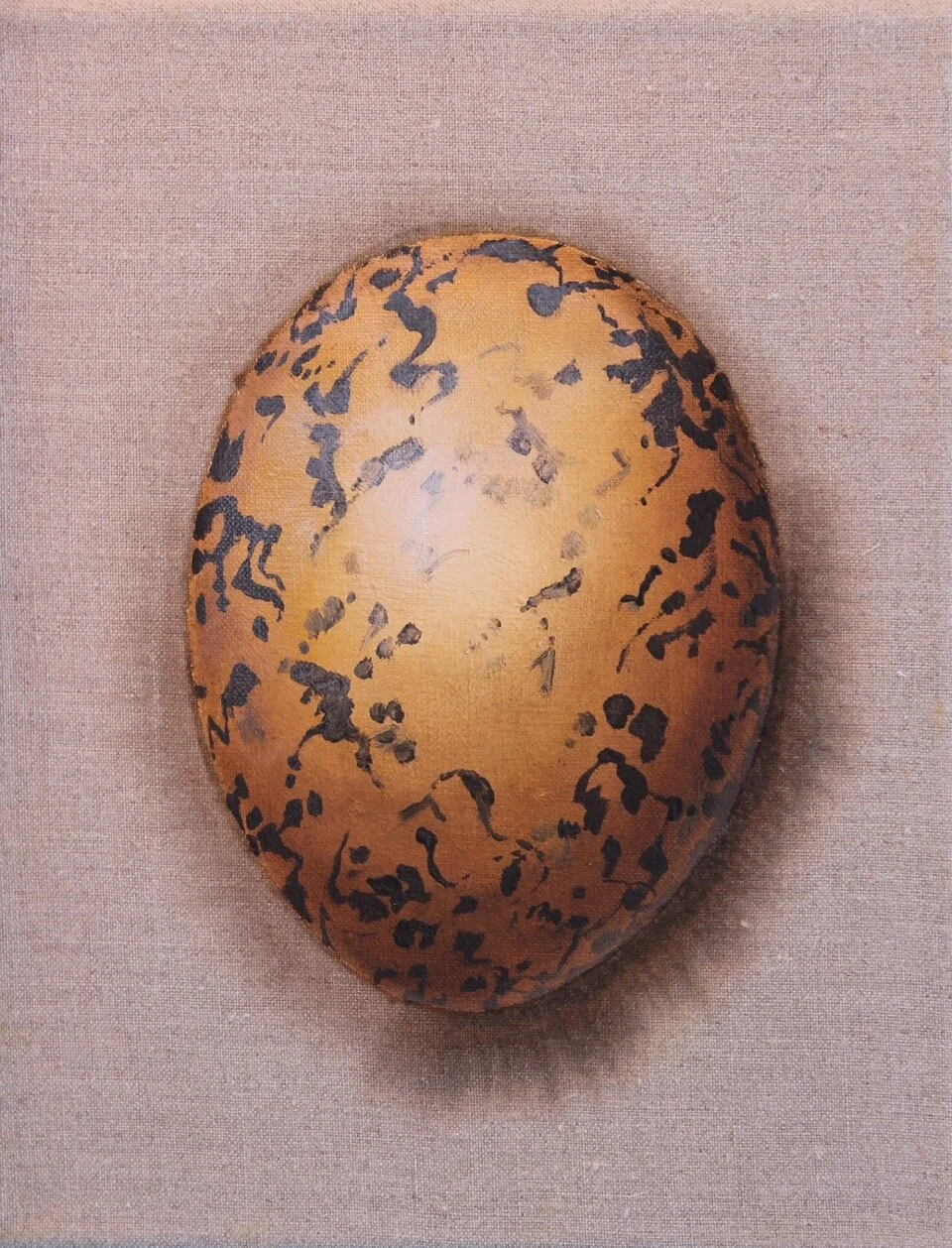 Eurasian Oystercatcher 10x8 oil on linen.jpeg