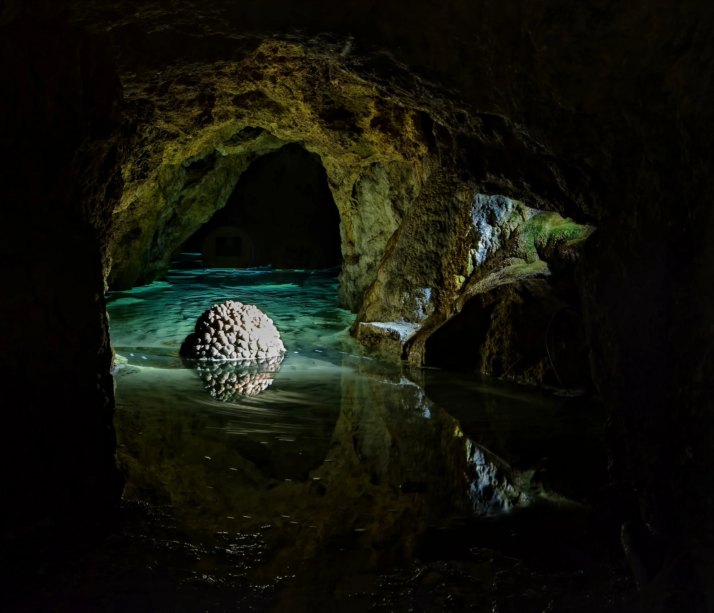 A Portrait of Dr Richard Harris SC OAM