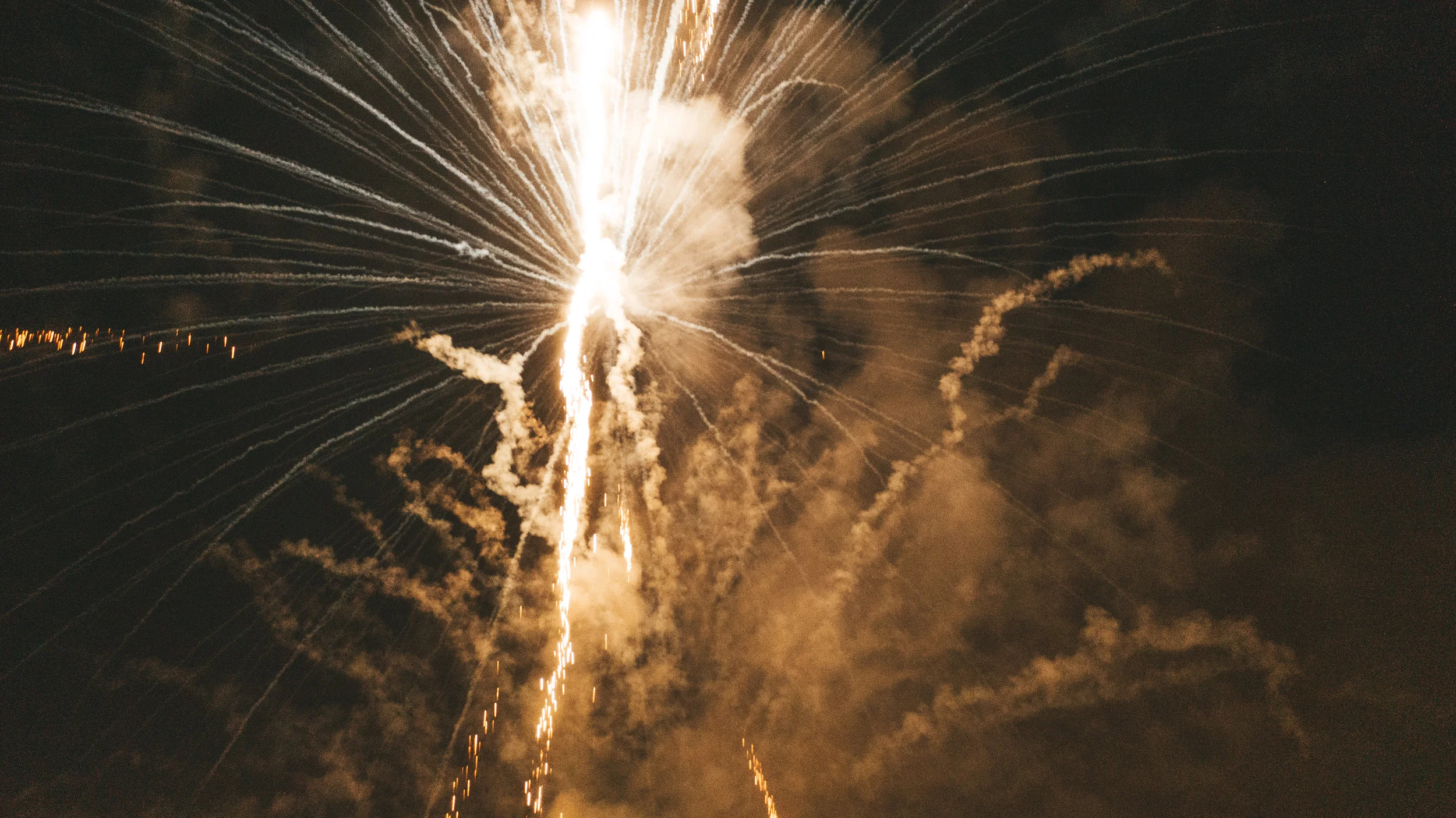 The Dogs are Barking