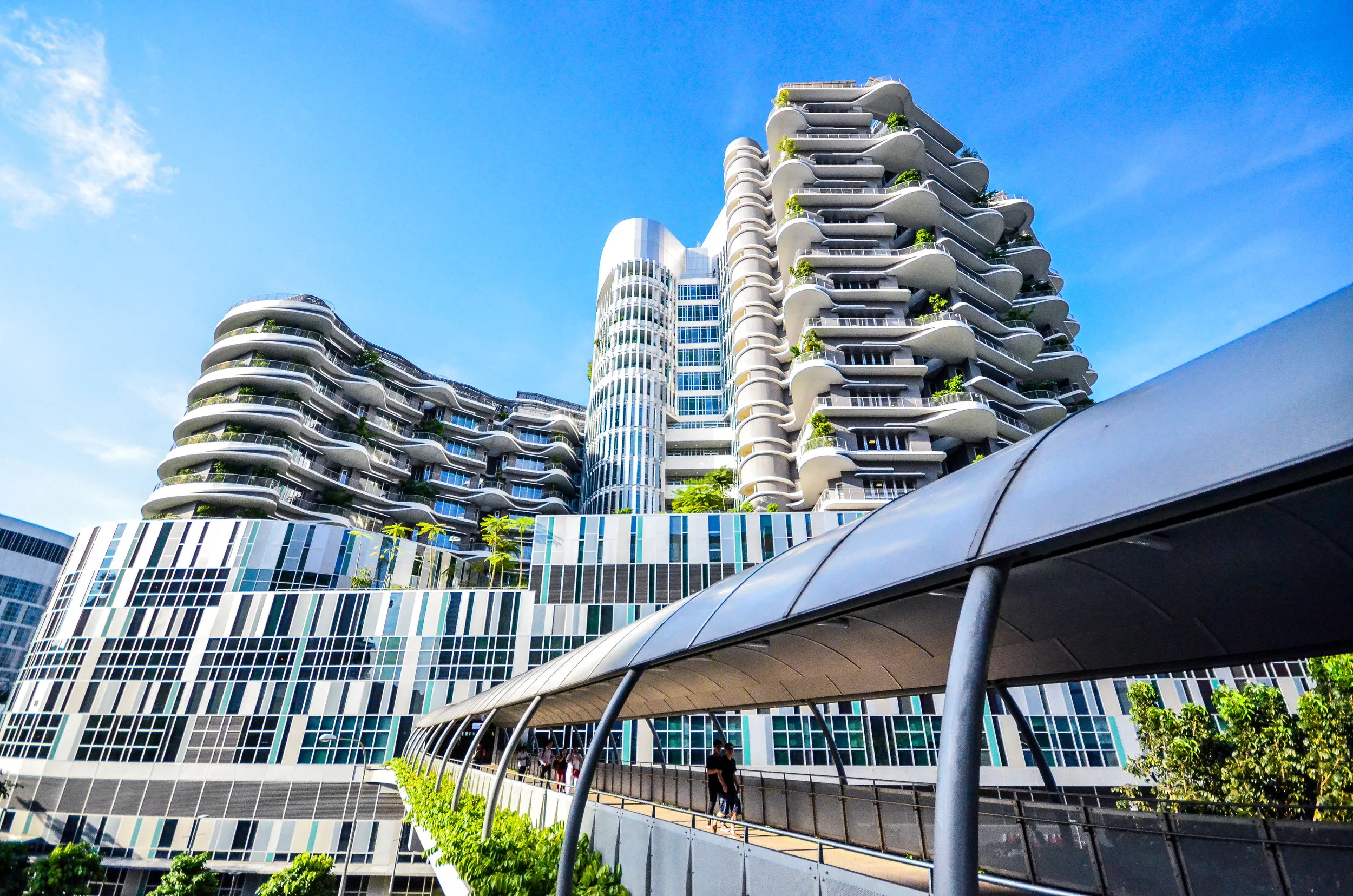 Singapore Secrets