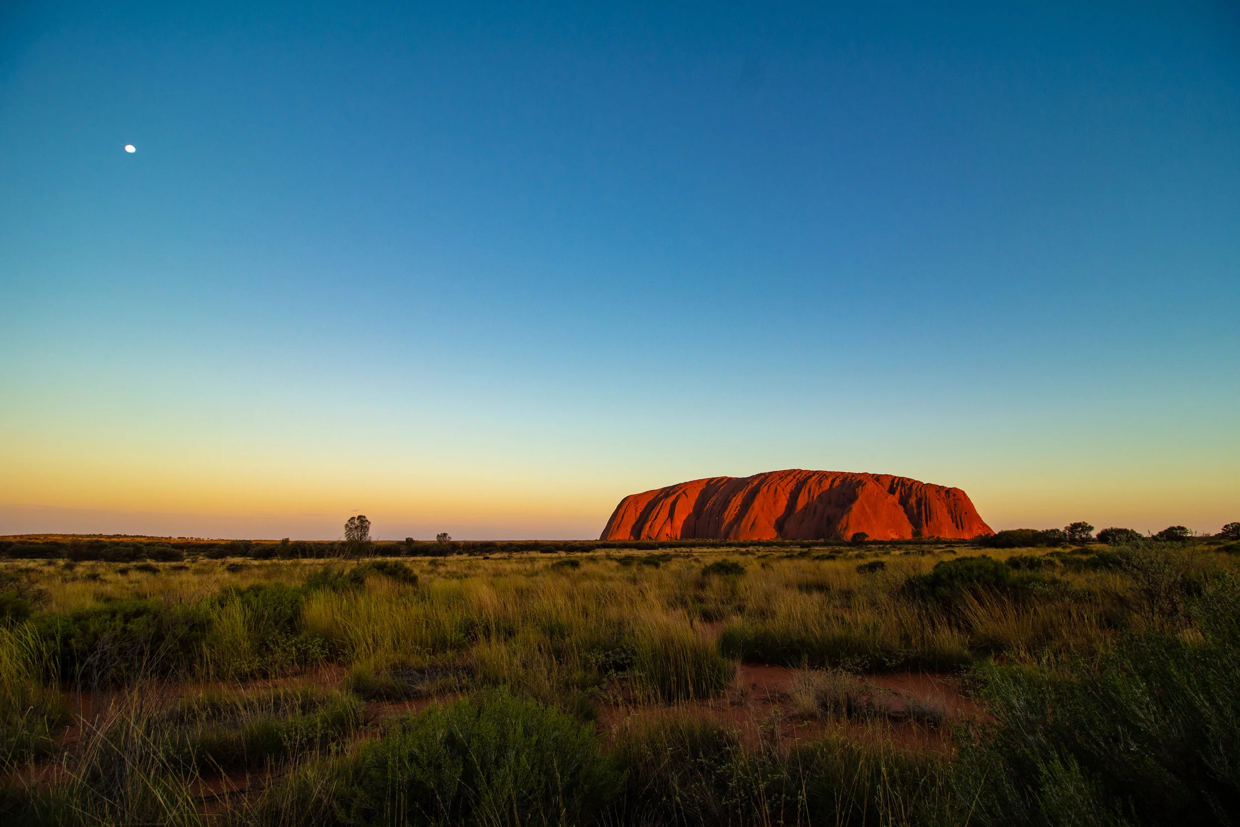 G'day