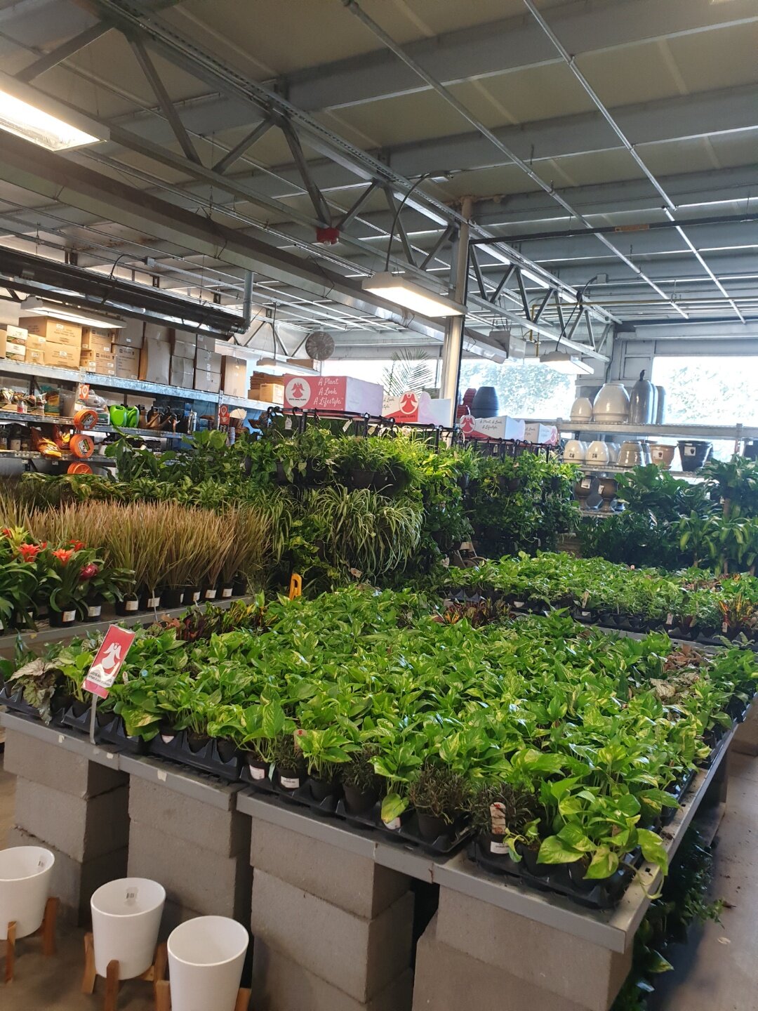 garden1.jpeg