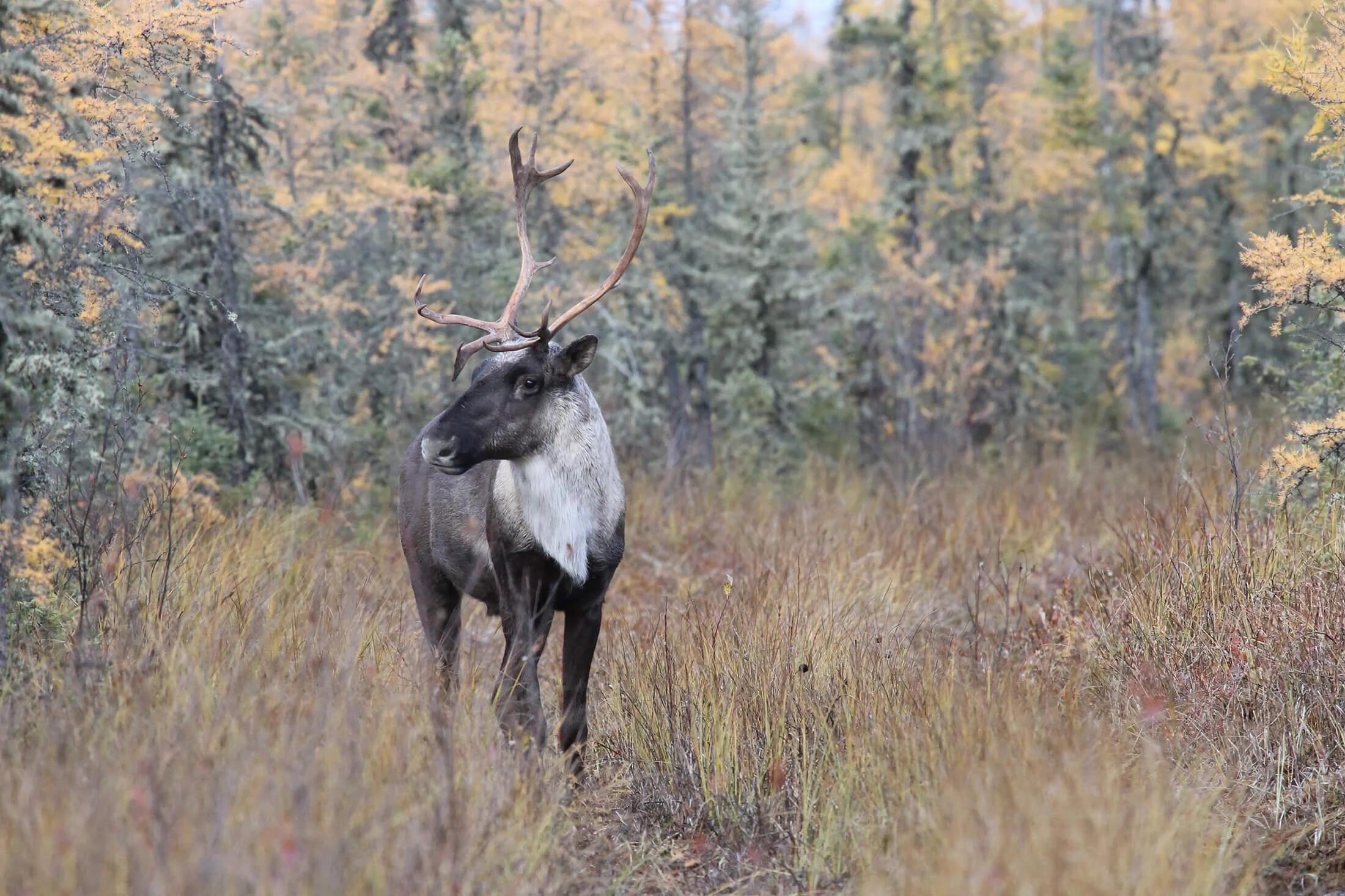 EARMP Technical sampling is back on for 2016!
