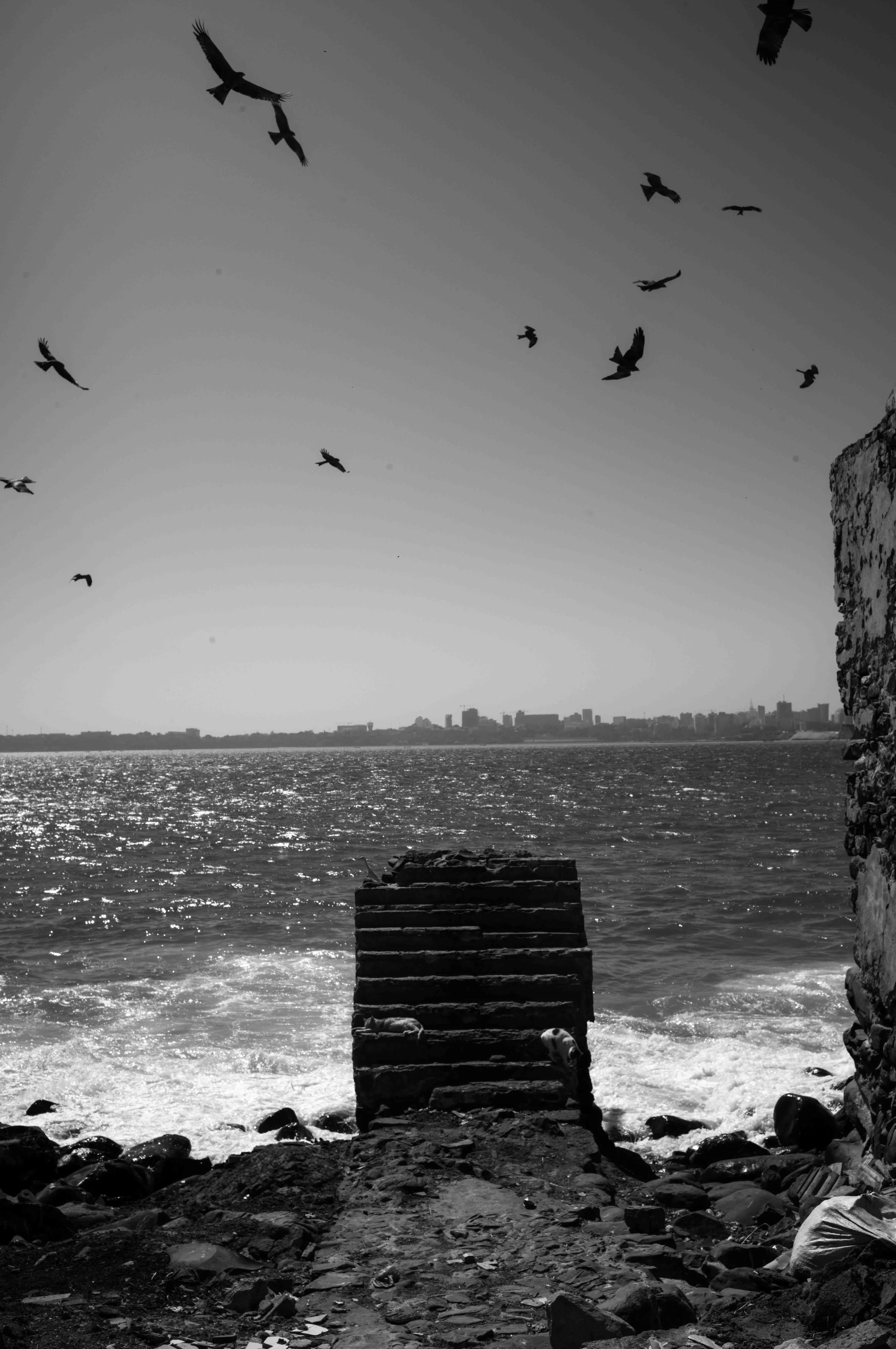 L1004656.jpg