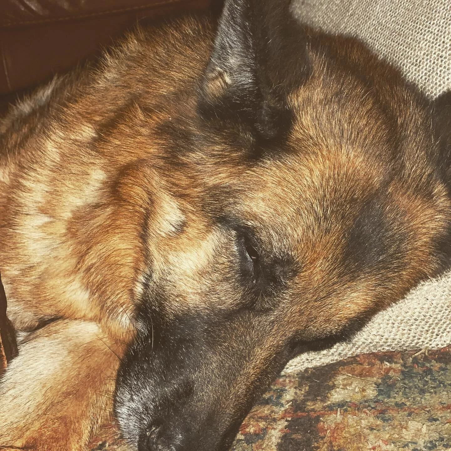 I sure hope she is comfortable enough!