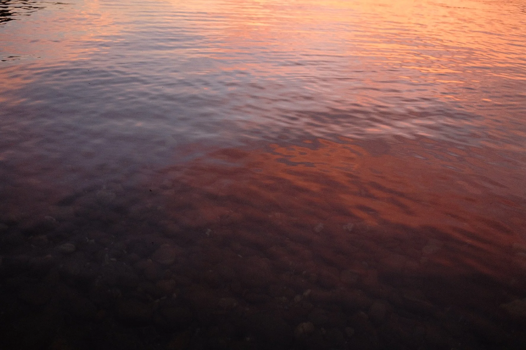 DSCF8480.jpg