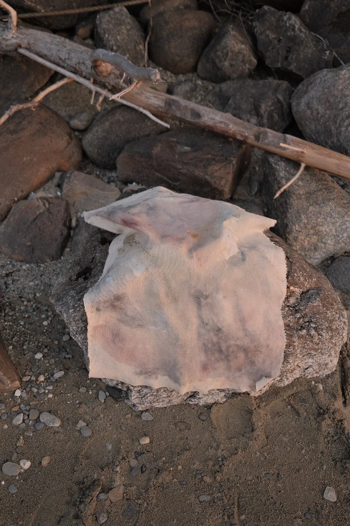 DSCF8537.jpg