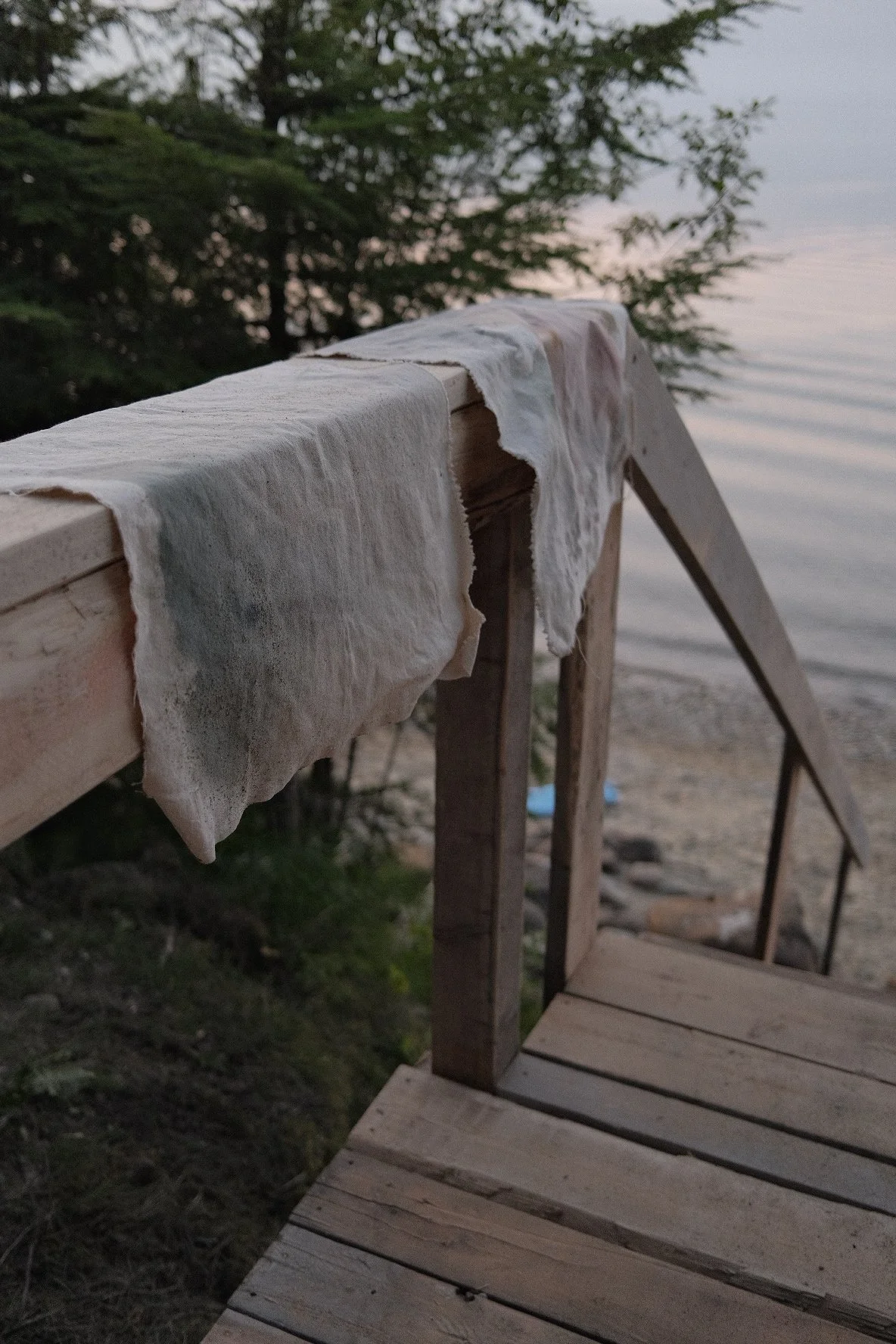 DSCF8540.jpg