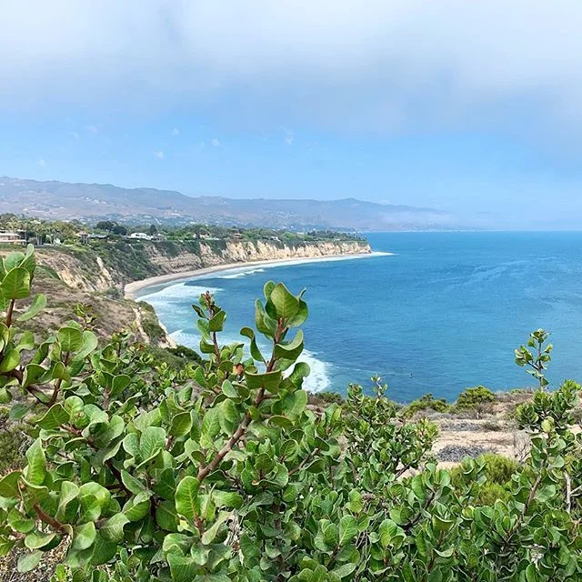 “This place is so beautiful! What’s the song about it?” she asked, as she swung our arms- her little hand in mine.
-
“That’s a good question, I’m not sure there is one...we’ll have to write it.”
-
#less