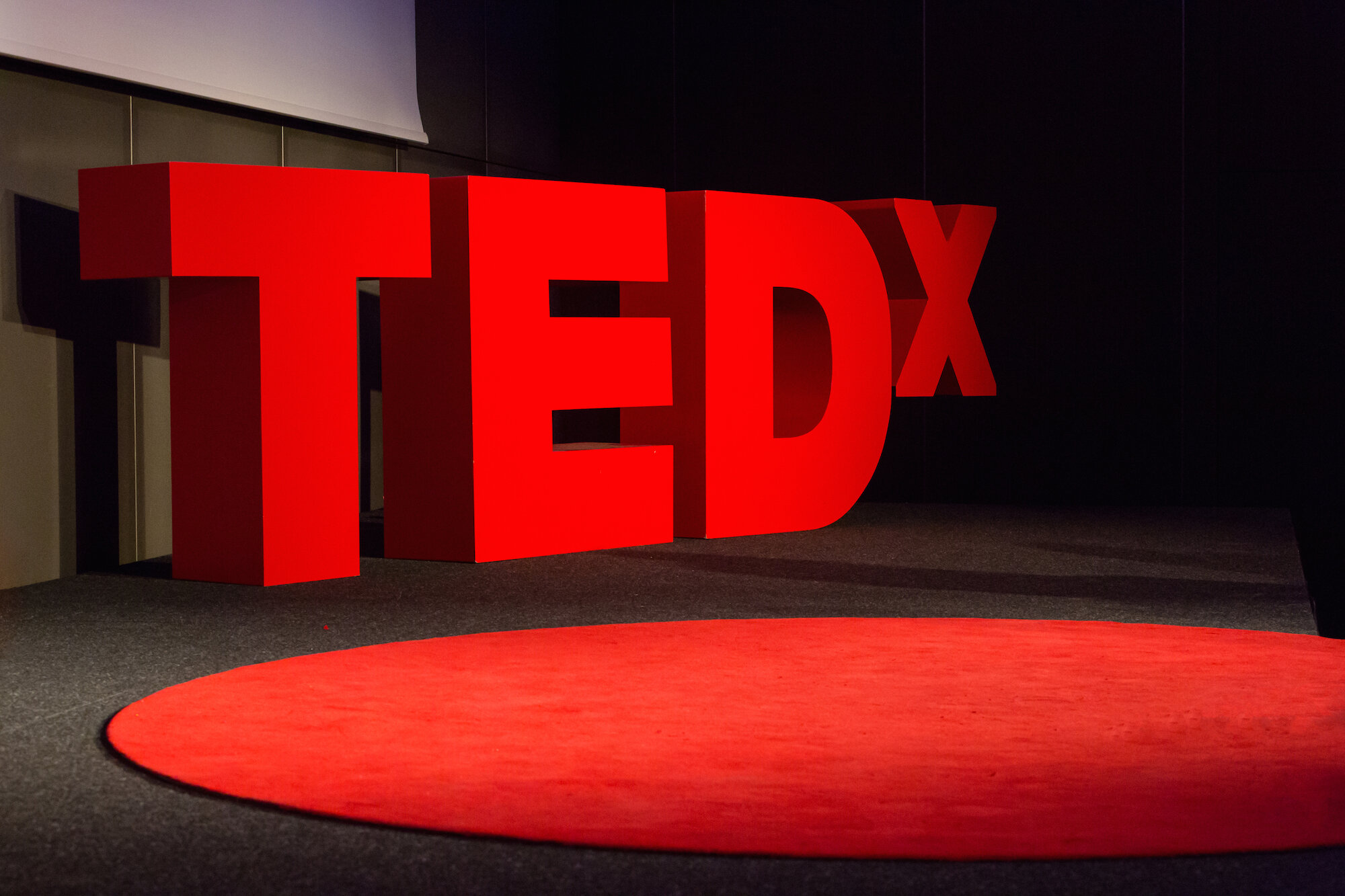 photo for website - TEDx.jpg