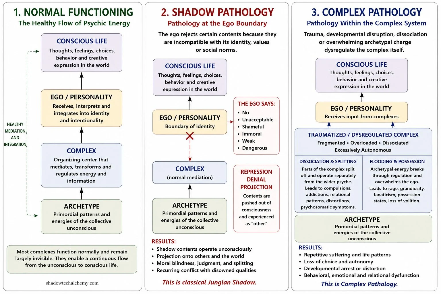 The Shadow Complex - Systems of Internal Dysregulation