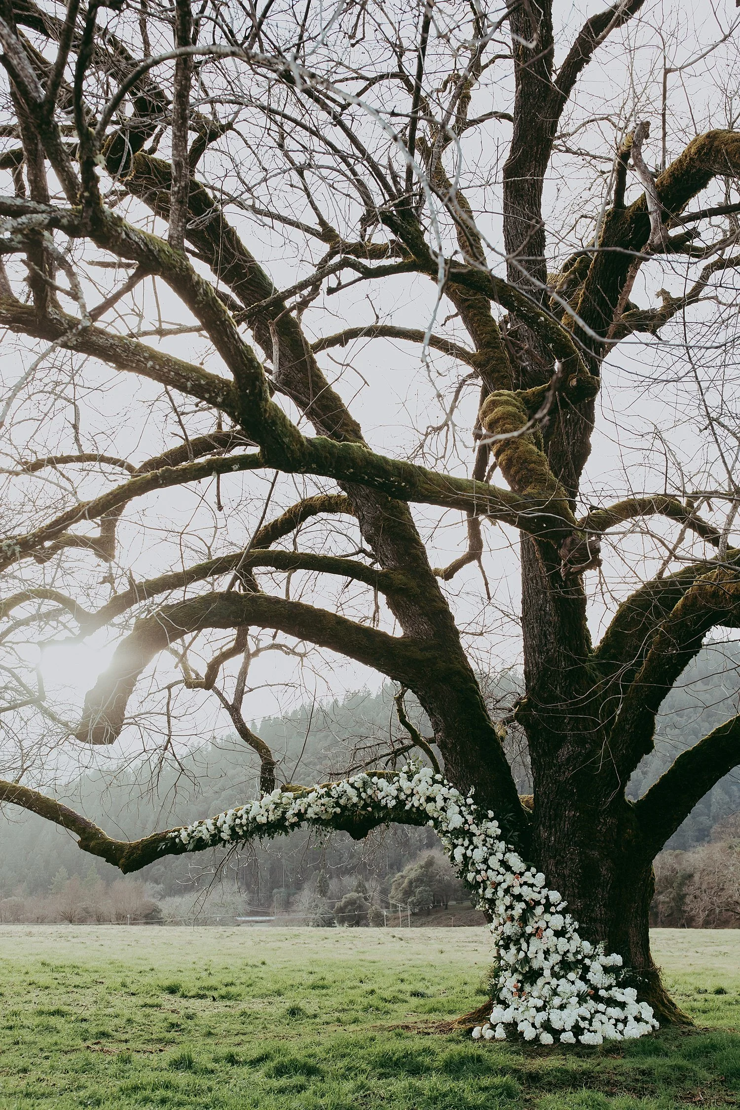 oregon-micro-wedding-planner-j29events010.jpg