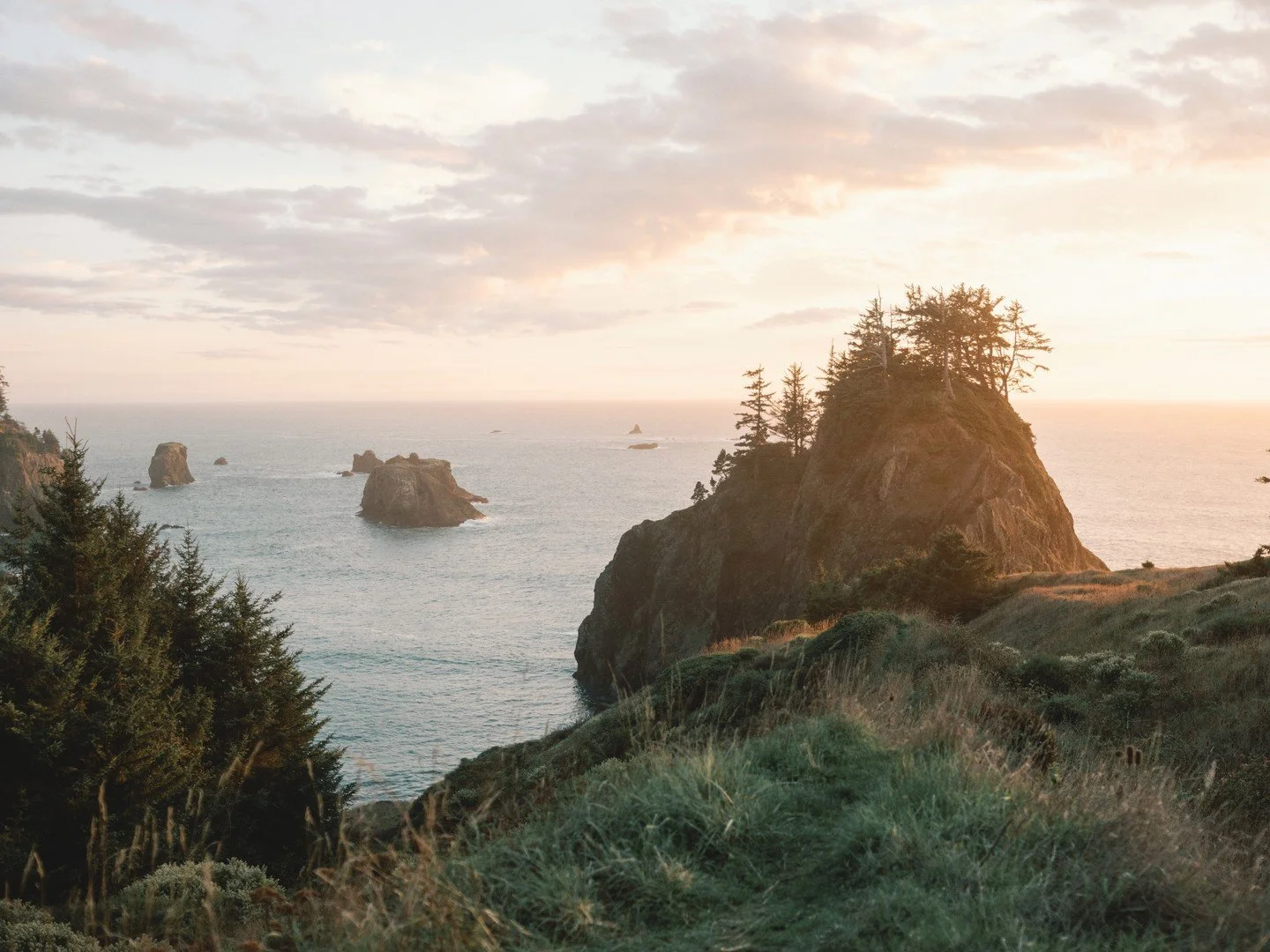 JANUARY 2026 //

There&rsquo;s a lot to hold right now.

We&rsquo;ve been a little quieter here&mdash;not from disengagement, but from being deeply in life. With our clients, our community, our families, and much unfolding behind the scenes at J29.

